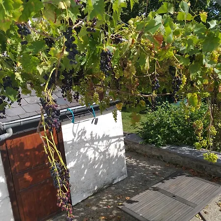 Semesterbostad Gite L'ecole De Ma Mere